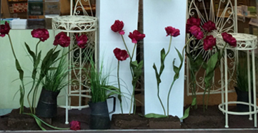 Frühlingsdekoration in einem Schaufenster © Barbaras Dekoservice