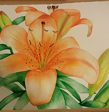 Wandmalerei -Blüten-© Barbaras Dekoservice